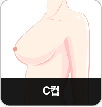 C컵