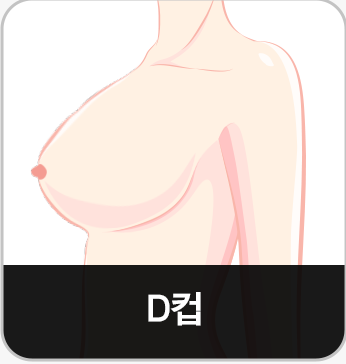 D컵