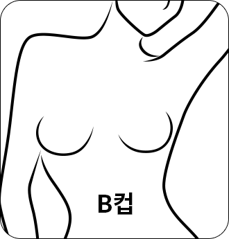 B컵