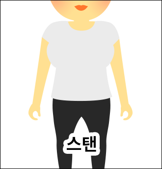 스탠체형